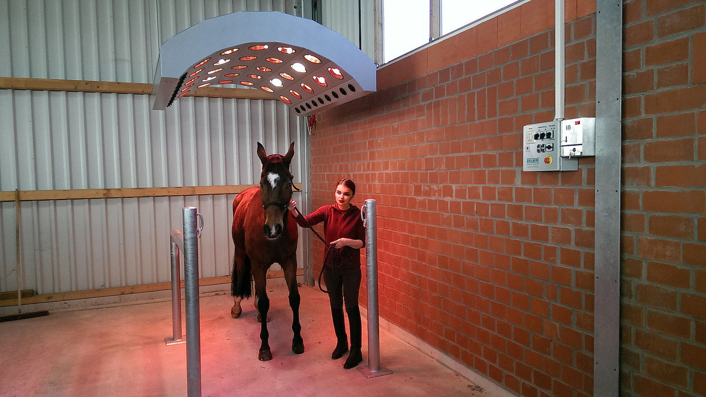 Solarium - Summerwind de Luxe