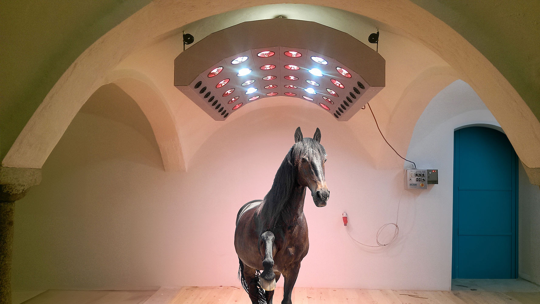 Solarium - Summerwind de Luxe