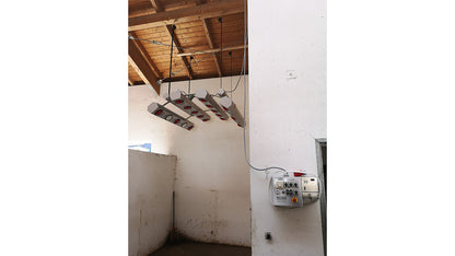 Solarium -Summerwind light IV