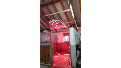 Solarium - Summerwind Premium