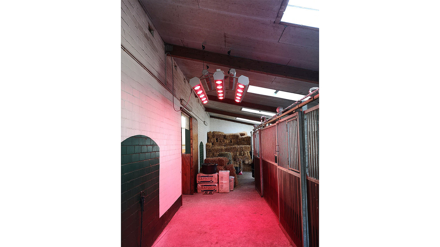 Solarium - Summerwind light III