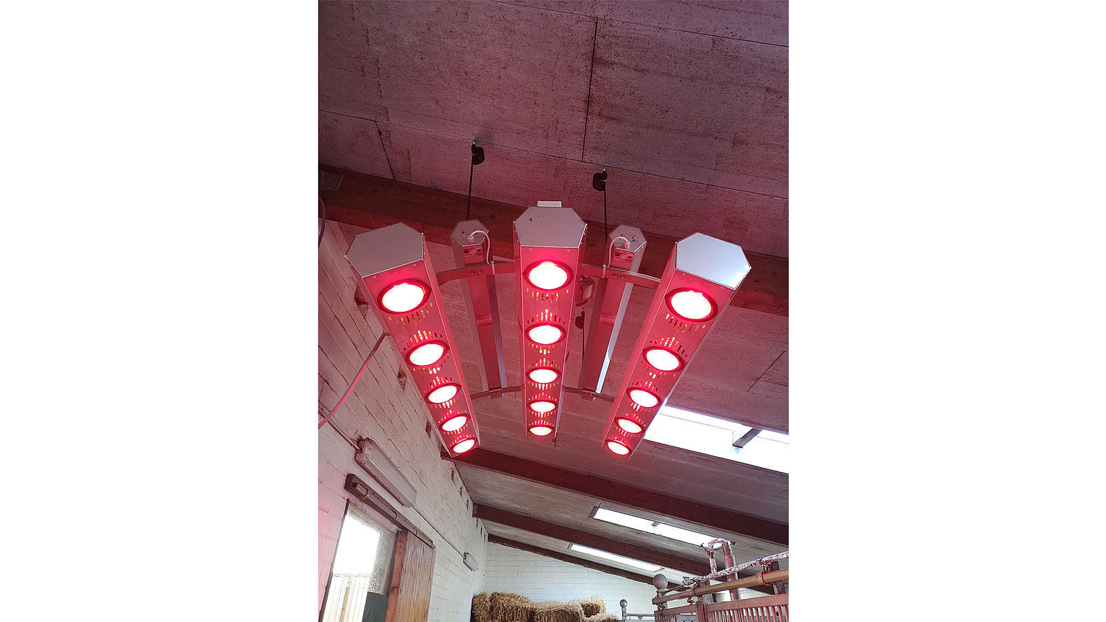 Solarium - Summerwind light III