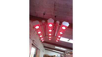 Solarium - Summerwind light III