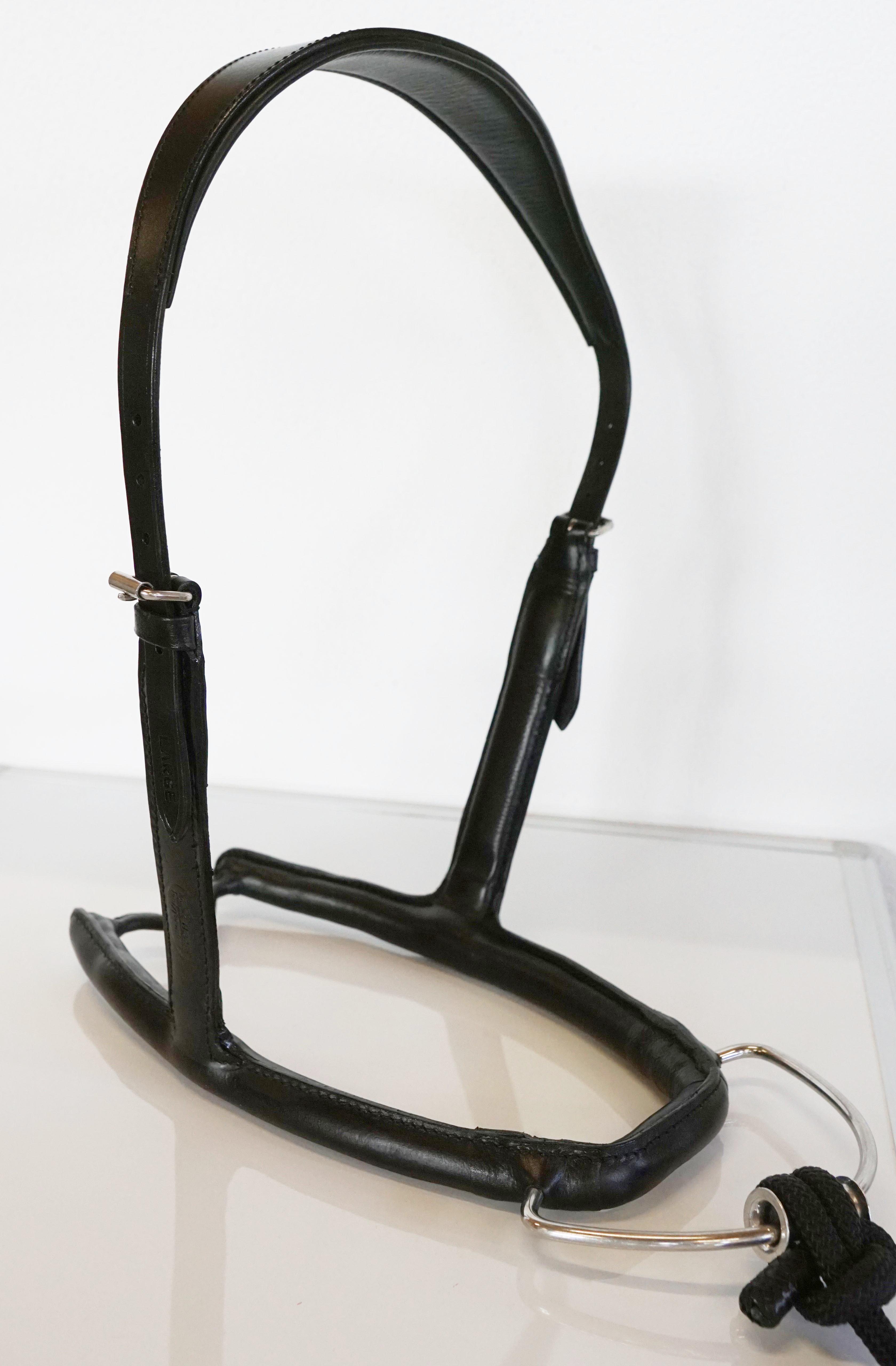 Mobility Bridle