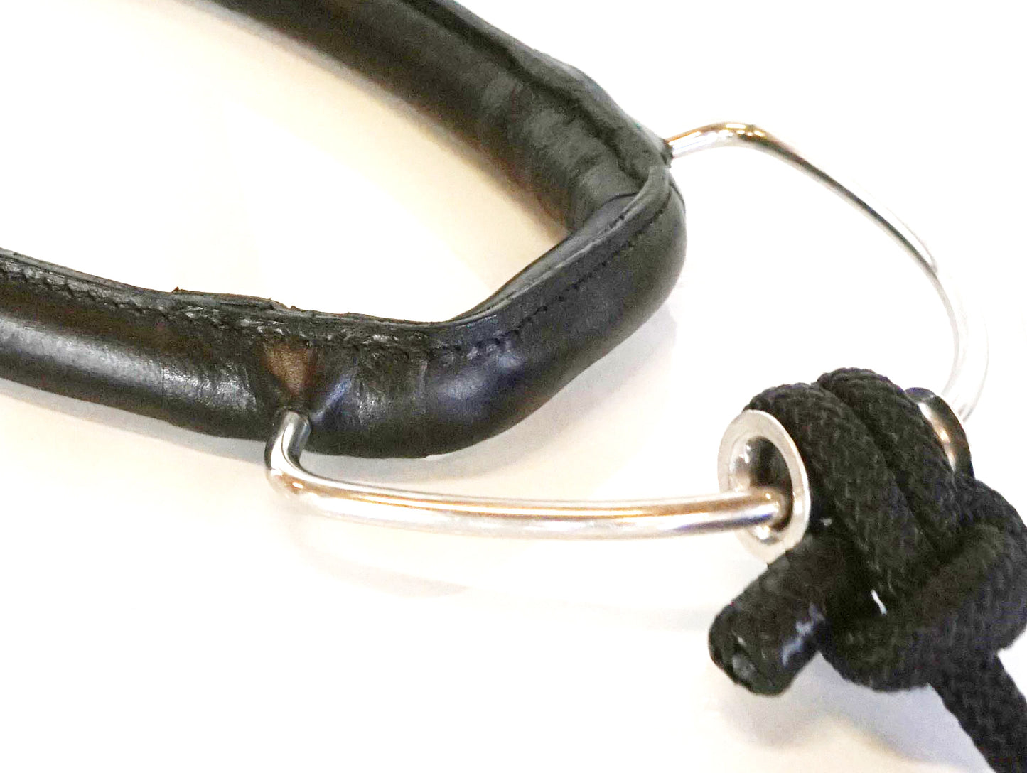 Mobility Bridle