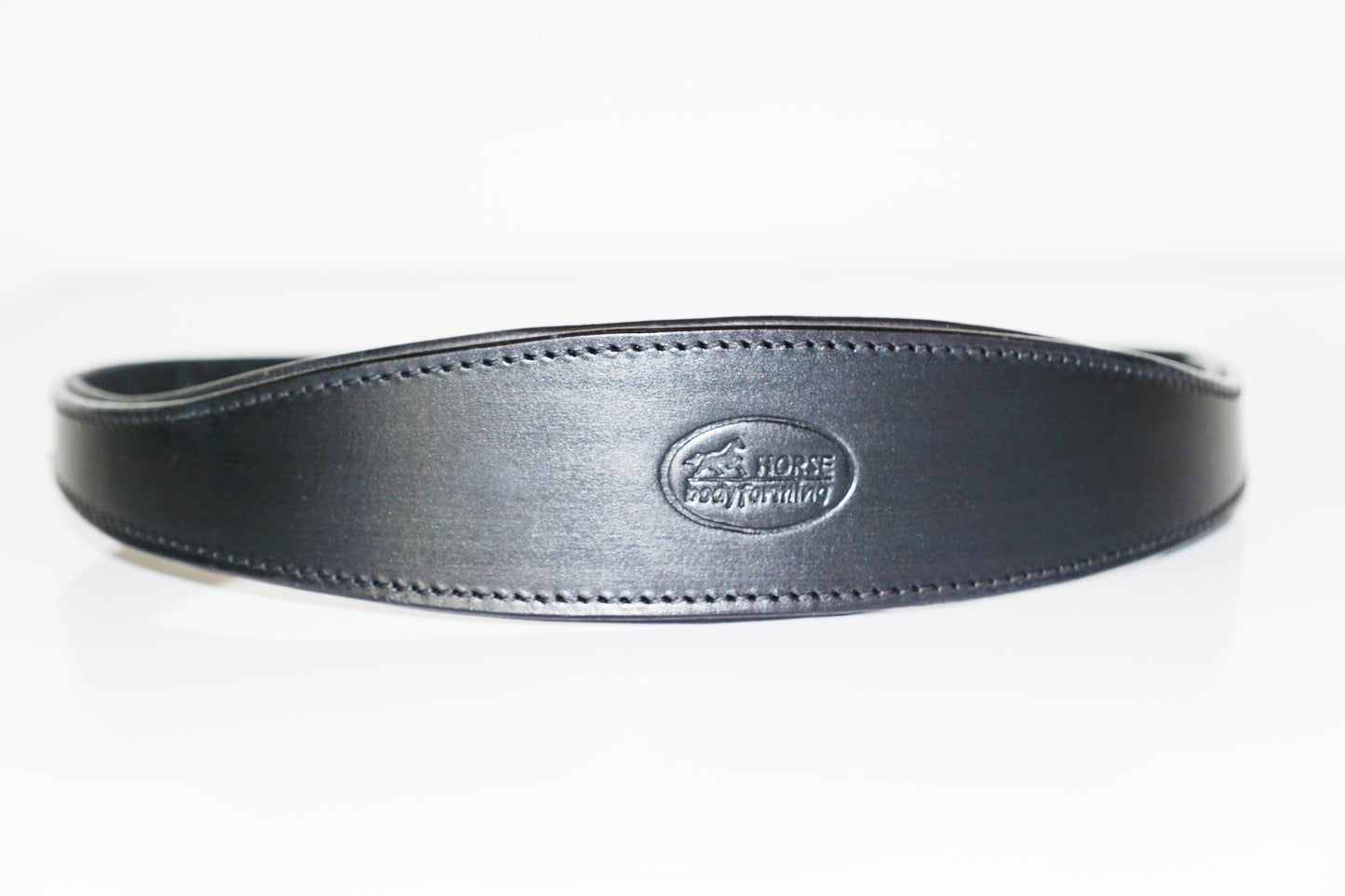 Mobility Bridle