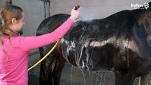 Excellent Horse Grooming Brush M Schwarz *